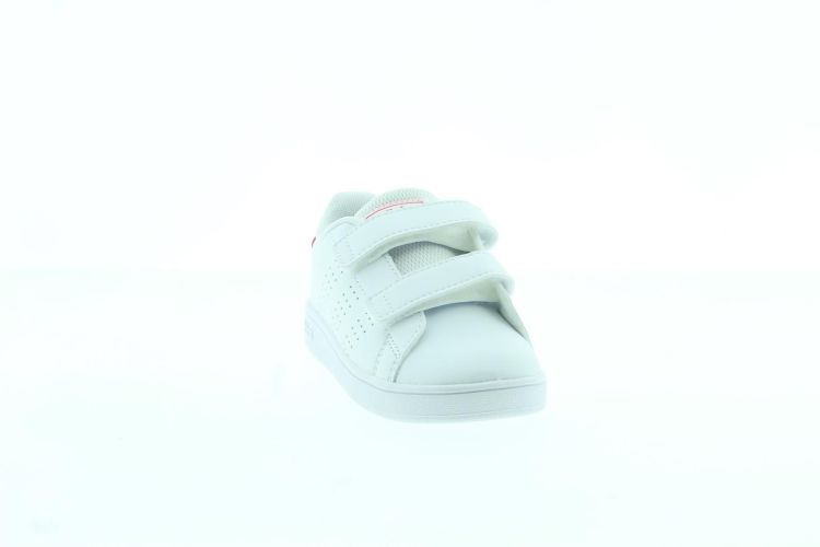 ADIDAS Sneaker WIT/ROZE Meisjes (ADVANTAGE CF - ) - Schoenen Slaets