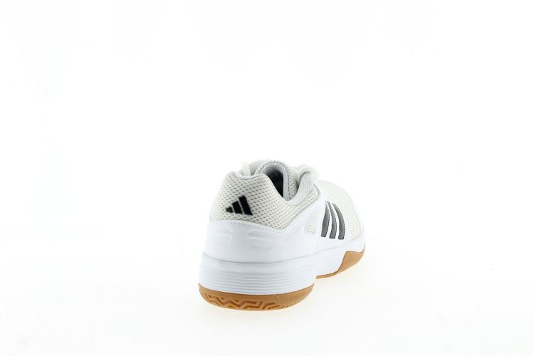 ADIDAS Sneaker Wit UNISEX (SPEEDCOURT M - ) - Schoenen Slaets