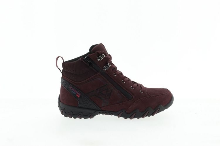 ALLROUNDER Bottine BORDEAUX