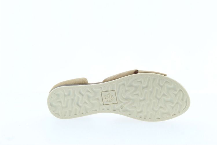 APPLE OF EDEN Sandaal TAUPE Dames (CHIUSI - ) - Schoenen Slaets