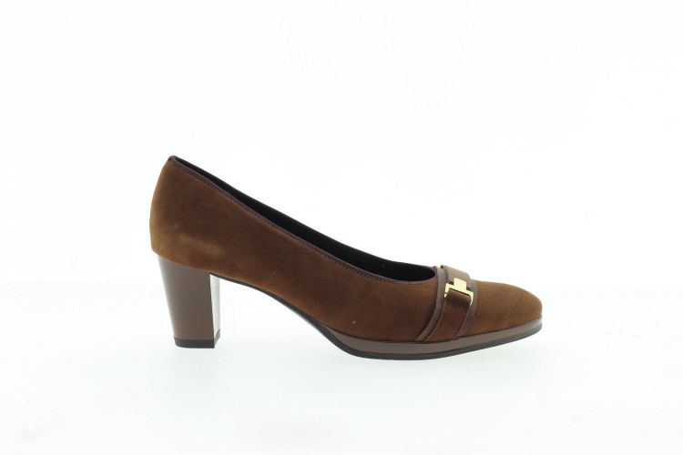 ARA Pump BRUIN