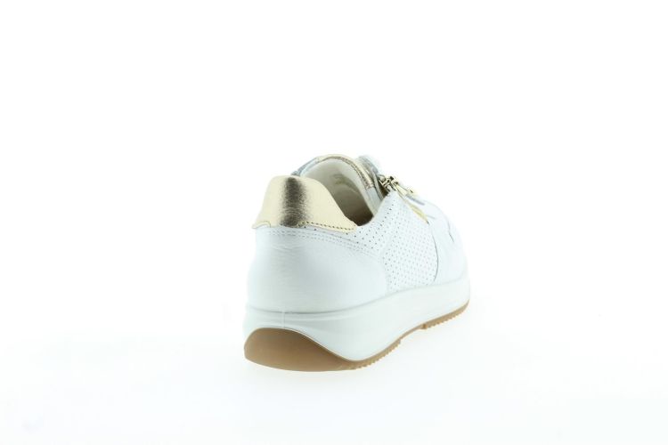 ARA Sneaker Wit Dames (25510 - ) - Schoenen Slaets