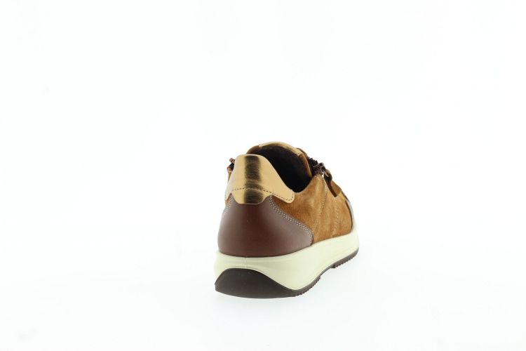 ARA Sneaker COGNAC Dames (25541 - ) - Schoenen Slaets