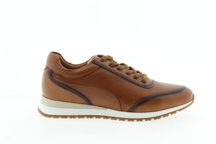 ARA Sneaker COGNAC
