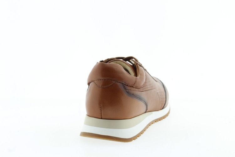 ARA Sneaker COGNAC Heren (26931 - ) - Schoenen Slaets