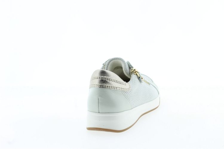 ARA Sneaker Wit Dames (34432 - ) - Schoenen Slaets