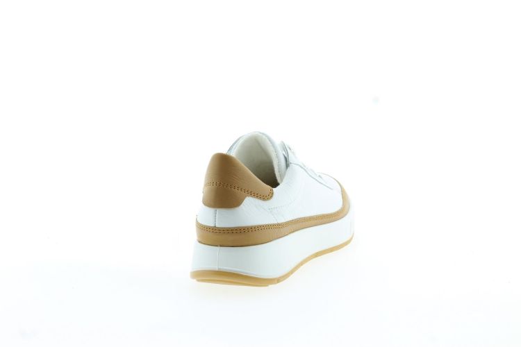 ARA Sneaker Wit Dames (54311 - ) - Schoenen Slaets