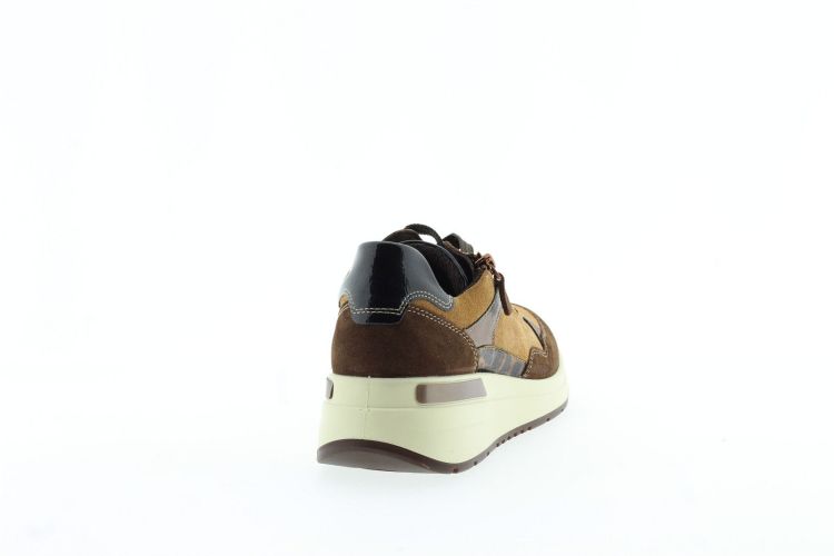 ARA Sneaker BRUIN Dames (57702 - ) - Schoenen Slaets