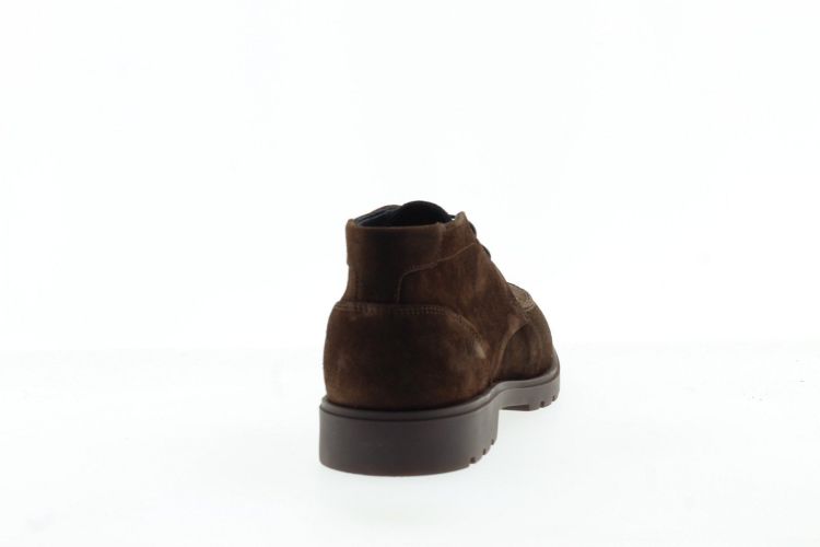 BERKELMANS Bottine BRUIN Heren (BARRO - ) - Schoenen Slaets