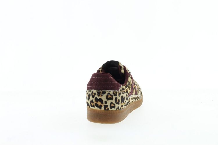 BOAX Sneaker BRUIN Dames (TRACE 5003 - ) - Schoenen Slaets