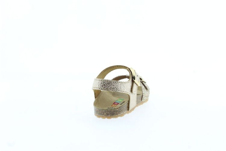 CHILI Sandaal CHAMPAGNER Jongens (MALAGA 1 - ) - Schoenen Slaets