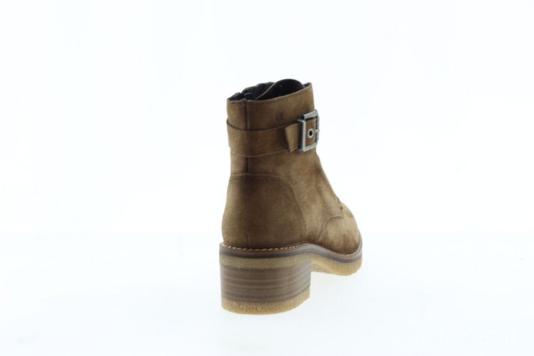 DORKING Enkellaars BRUIN Dames (8686 - ) - Schoenen Slaets