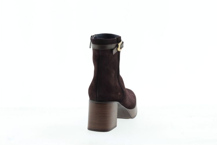 DORKING Enkellaars BRUIN Dames (9733 - ) - Schoenen Slaets