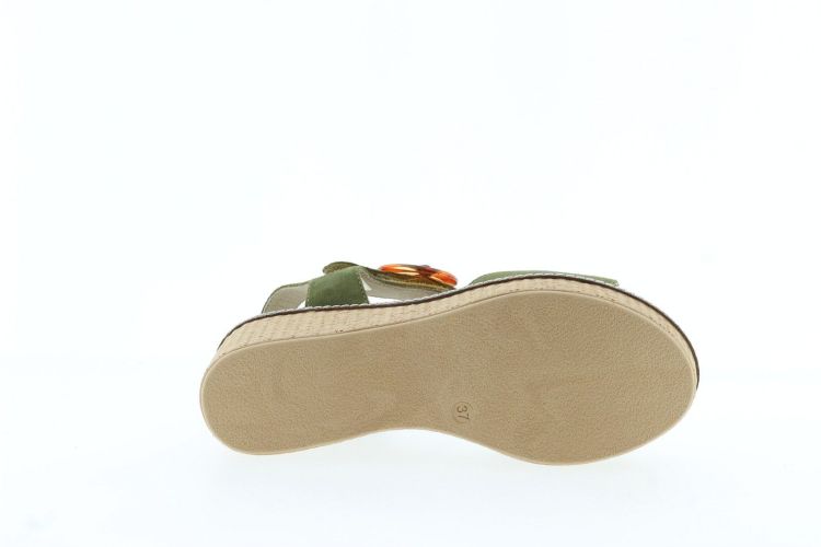 DORKING Sandaal GROEN Dames (D9450 - ) - Schoenen Slaets