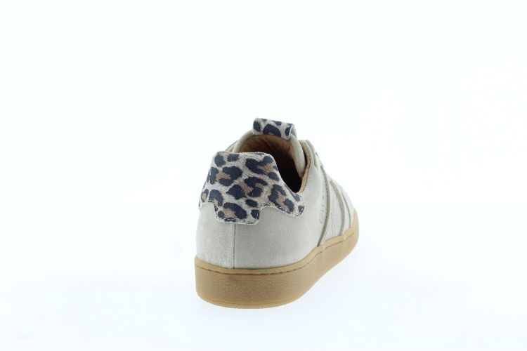 DWRS Sneaker Beige Dames (POONA - ) - Schoenen Slaets