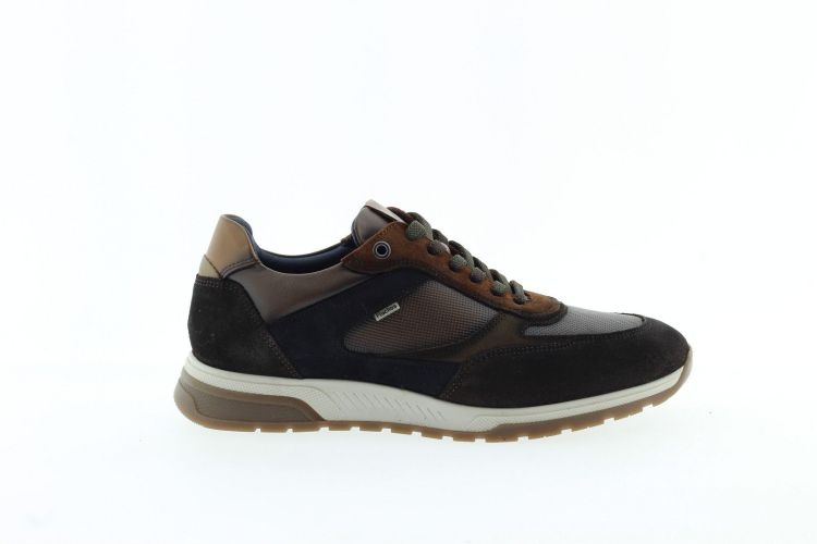 FLUCHOS Sneaker BRUIN FLUCHOS Sneaker BRUIN