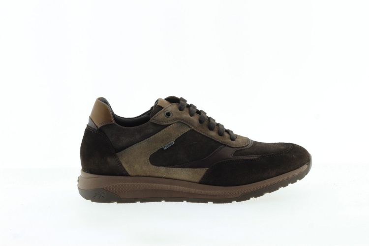 FLUCHOS Sneaker BRUIN