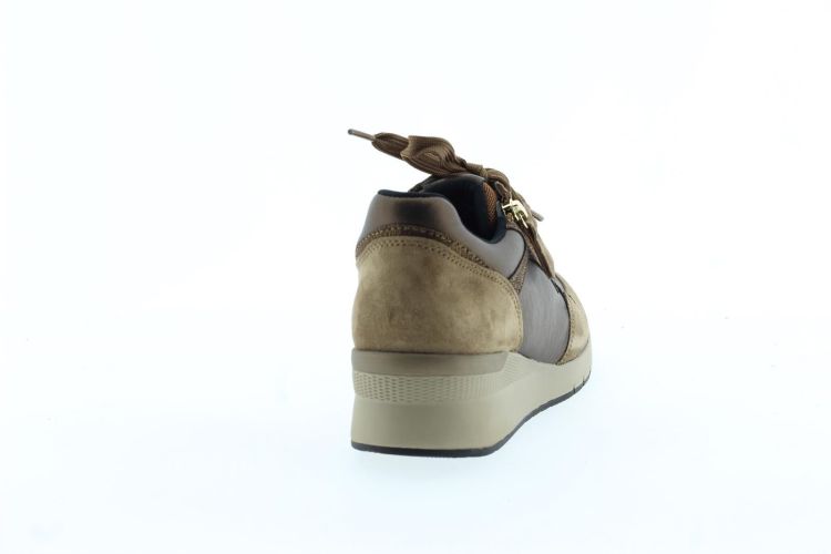 GABOR Sneaker Bronze Dames (56.418.15 - ) - Schoenen Slaets