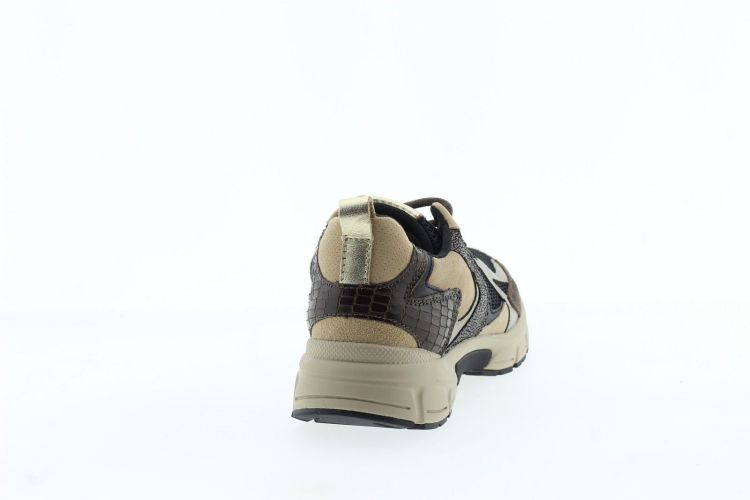 GABOR Sneaker BRUIN Dames (6005.01.007 - ) - Schoenen Slaets