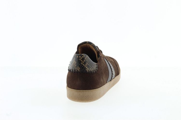 GABOR Sneaker BRUIN Dames (6011.02.004 - ) - Schoenen Slaets