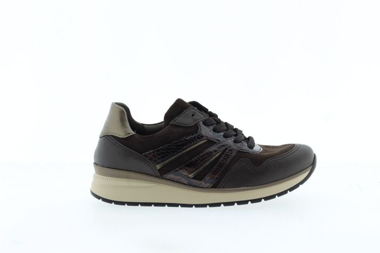 GABOR Sneaker BRUIN