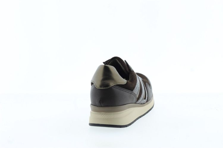 GABOR Sneaker BRUIN Dames (6020.01.003 K - ) - Schoenen Slaets