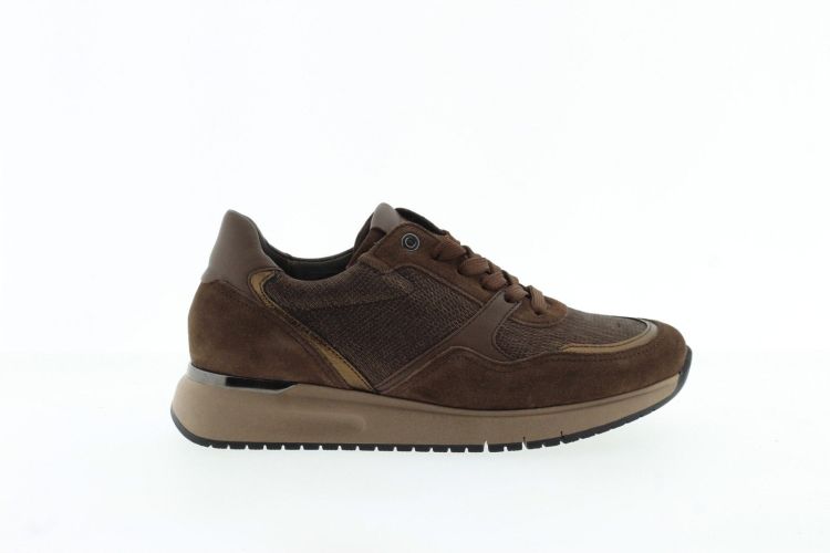 GABOR Sneaker BRUIN