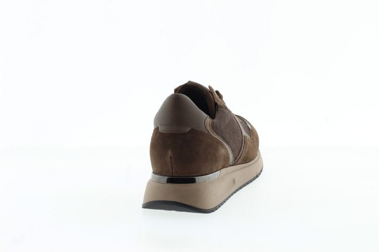 GABOR Sneaker BRUIN Dames (6022.02.002 - ) - Schoenen Slaets