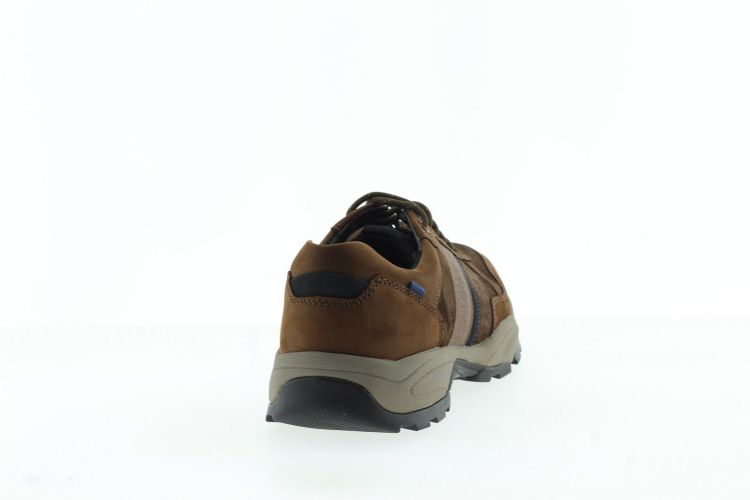 GABOR Sneaker BRUIN Heren (6101.10.02 - ) - Schoenen Slaets