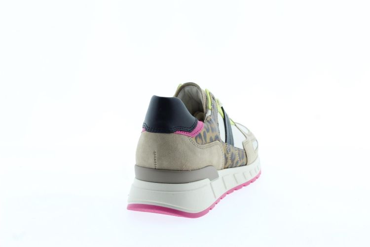 GABOR Sneaker MULTICOLOR Dames (66.365.53 - ) - Schoenen Slaets