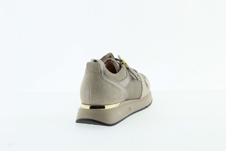 GABOR Sneaker TAUPE Dames (76.446.65 - ) - Schoenen Slaets