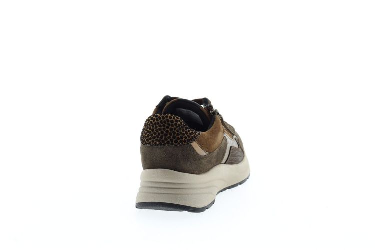 GABOR Sneaker BRUIN Dames (76.598.33 - ) - Schoenen Slaets