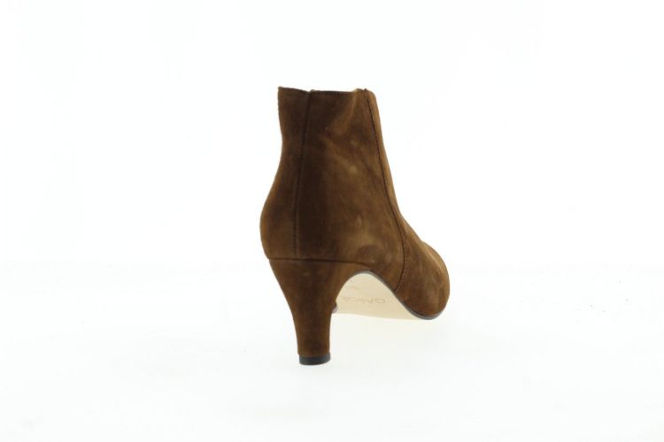 GABOR Enkellaars BRUIN Dames (8017.01.003 - ) - Schoenen Slaets
