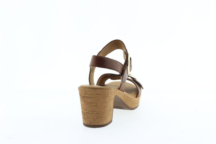 GABOR Sandaal COGNAC Dames (84.764.24 - ) - Schoenen Slaets