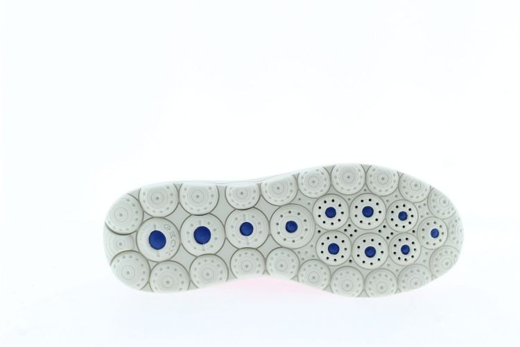 GEOX Sneaker FUCHSIA Dames (D557MA - ) - Schoenen Slaets