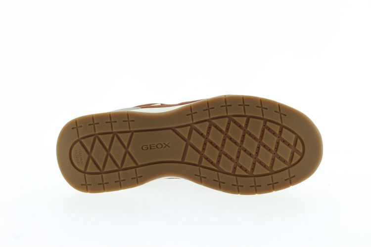 GEOX Sneaker TAUPE Dames (D563NB - ) - Schoenen Slaets