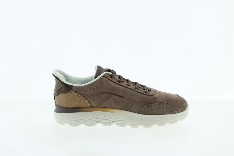 GEOX Sneaker TAUPE