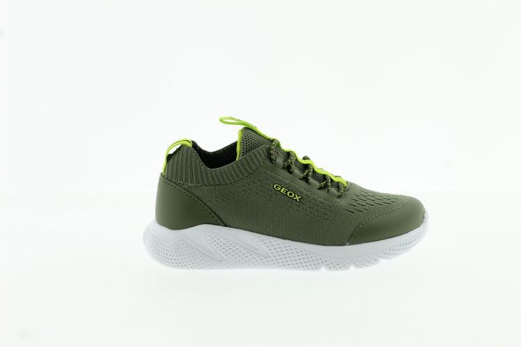 GEOX Sneaker GROEN