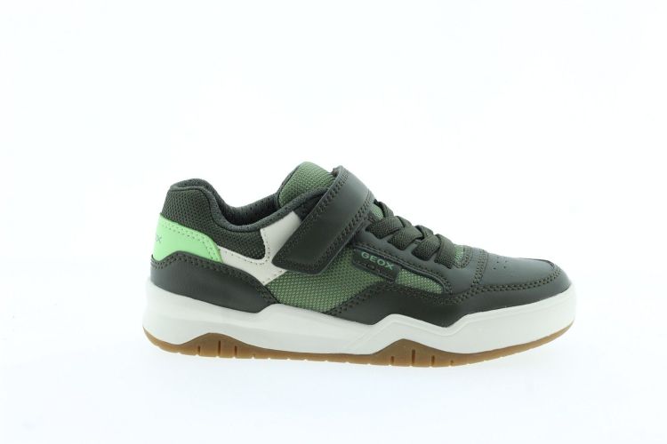 GEOX Sneaker KHAKI
