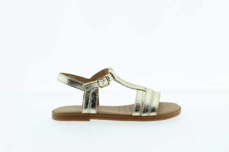 GEOX Sandaal GOUD