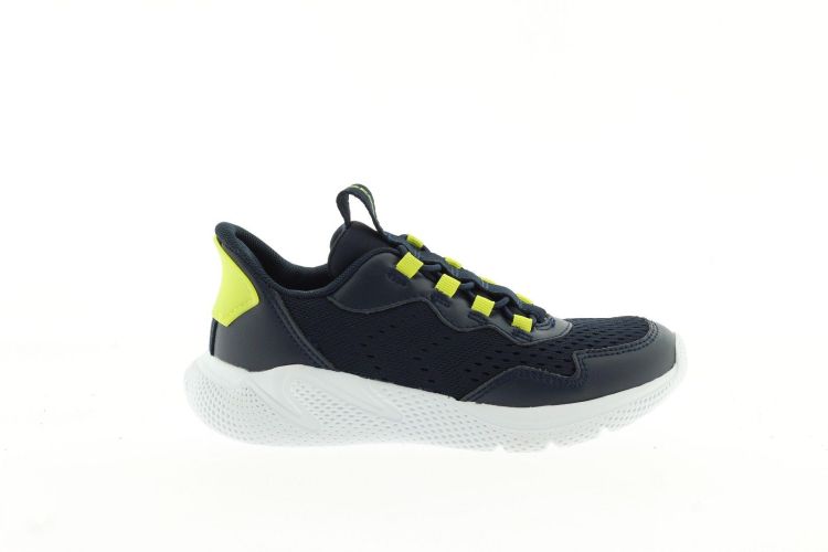 GEOX Sneaker Blauw
