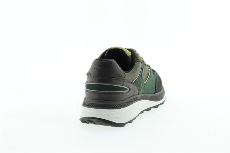 GEOX Sneaker GROEN Heren (U46HGA - ) - Schoenen Slaets