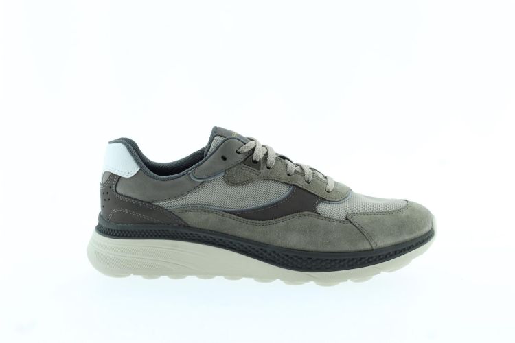 GEOX Sneaker TAUPE