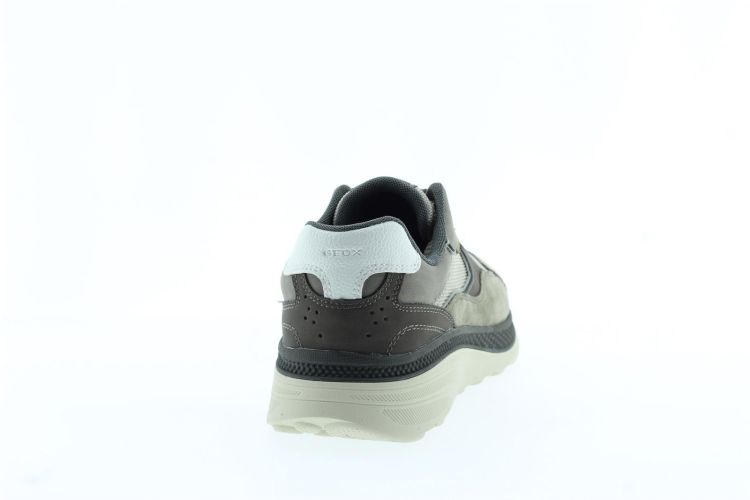 GEOX Sneaker TAUPE Heren (U55HUA - ) - Schoenen Slaets