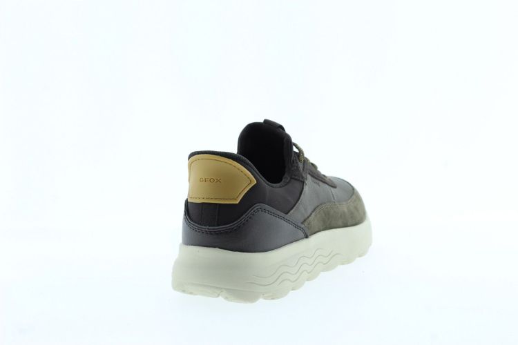 GEOX Sneaker GROEN Heren (U56MPA - ) - Schoenen Slaets