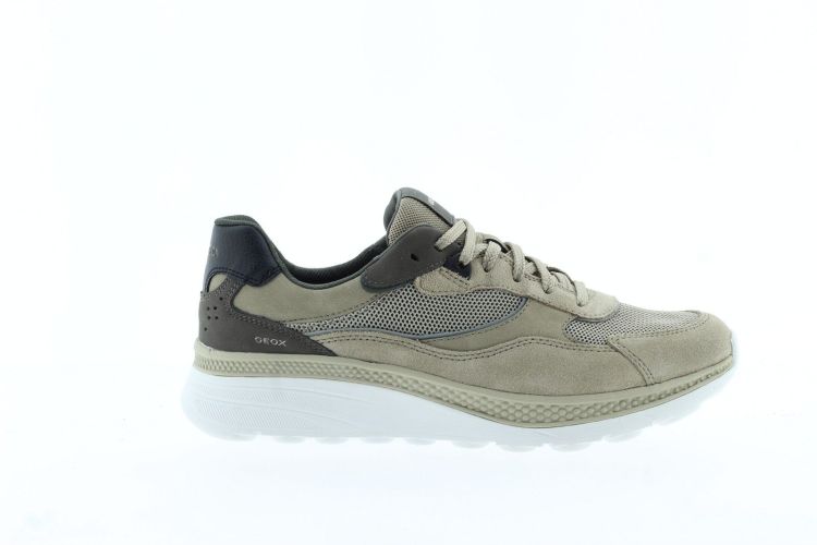 GEOX Sneaker Beige