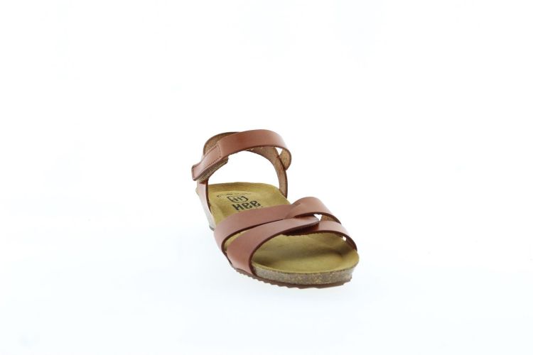 HEE Sandaal COGNAC Dames (24022 - ) - Schoenen Slaets