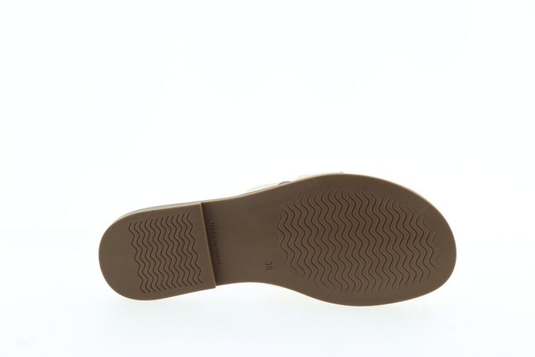 HEE Aansteker CHAMPAGNER Dames (26320 - ) - Schoenen Slaets