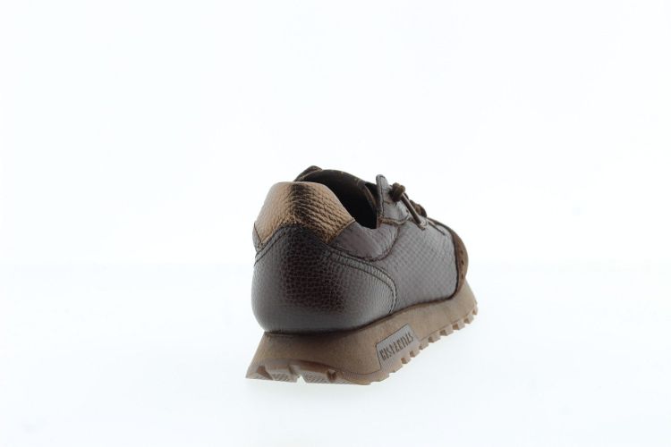 HISPANITAS Sneaker BRUIN Dames (HI264955 - ) - Schoenen Slaets