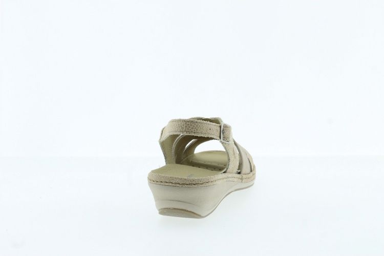 HUSH PUPPIES Sandaal Beige Dames (RHODES - ) - Schoenen Slaets